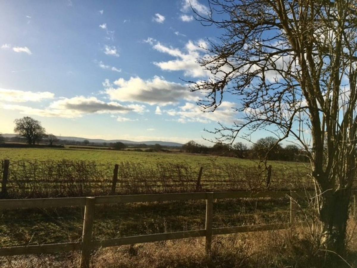 South Cottage - Rural Gem In The Heart Of The Sussex Countryside Twineham Dış mekan fotoğraf
